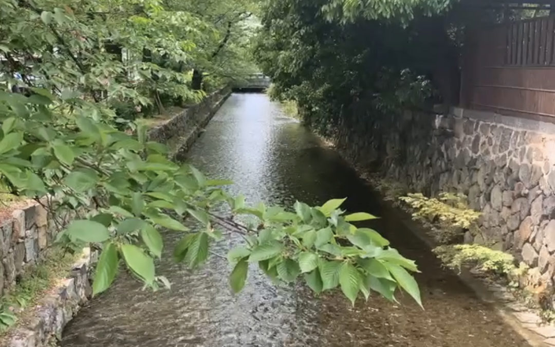 今日も明日も明後日も