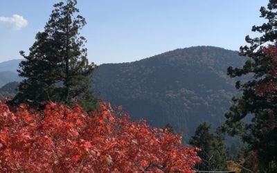 想像力を働かせてみよっ！